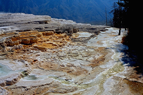 20000801   Yellowstone 068